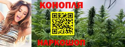 Альфа ПВП Ставрополь