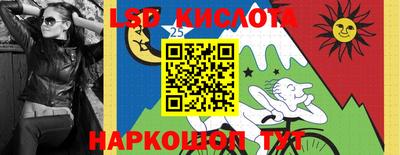 Альфа ПВП Ставрополь