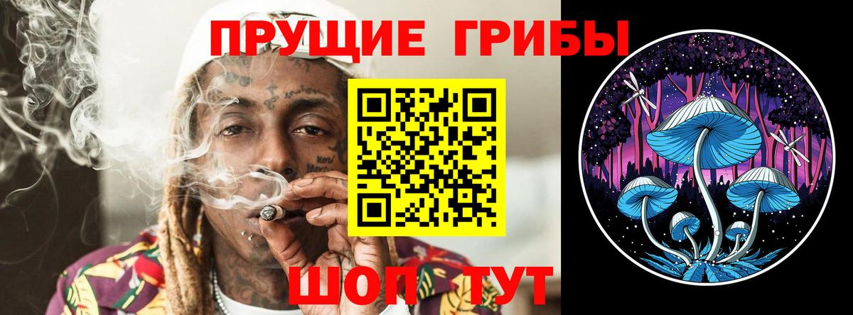 Галлюциногенные грибы мицелий  Галлюциногенные грибы прущие грибы  Вход с VPN  Муром 